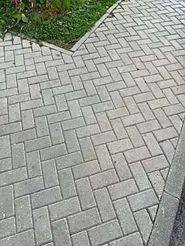 Syka0001 online show from September 26, 2025, 1:48 pm