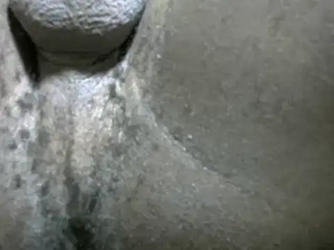 Whitelover online show from February 24, 2025, 12:30 am