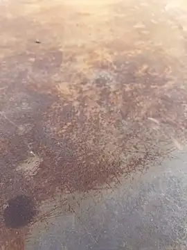 Snapshot of Black-mamba-madingo chatting on September 28, 2025, 4:01 pm Black-mamba-madingo online show from September 28, 2025, 4:01 pm