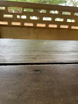 Snapshot of Black-mamba-madingo chatting on September 29, 2025, 10:09 am Black-mamba-madingo online show from September 29, 2025, 10:09 am