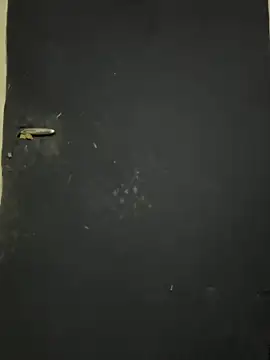 Snapshot of Black-mamba-madingo chatting on October 9, 2025, 12:25 pm Black-mamba-madingo online show from October 9, 2025, 12:25 pm