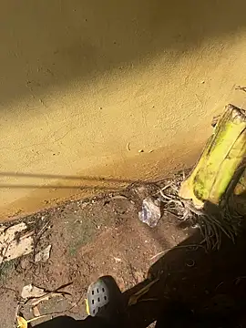 Snapshot of Black-mamba-madingo chatting on October 10, 2025, 2:16 pm Black-mamba-madingo online show from October 10, 2025, 2:16 pm