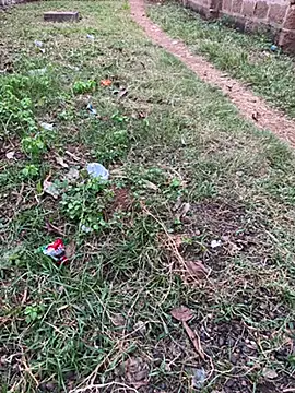 Snapshot of Black-mamba-madingo chatting on October 29, 2025, 5:14 pm Black-mamba-madingo online show from October 29, 2025, 5:14 pm