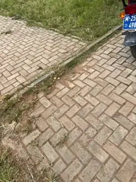 Snapshot of Black-mamba-madingo chatting on November 1, 2025, 12:29 pm Black-mamba-madingo online show from November 1, 2025, 12:29 pm