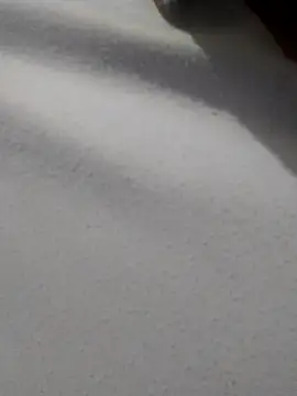 Snapshot of _Miaaleon chatting on November 16, 2025, 10:43 am Miaaleon online show from November 16, 2025, 10:43 am