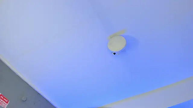 Snapshot of ArigyGomez chatting on November 14, 2025, 11:24 pm ArigyGomez online show from November 14, 2025, 11:24 pm