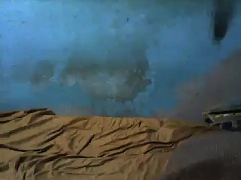 little  joy online show from March 1, 2025, 2:37 am