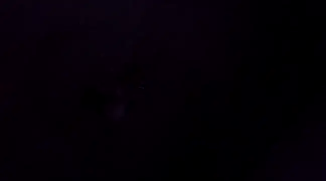 Xoc8  online show from February 3, 2025, 5:29 am