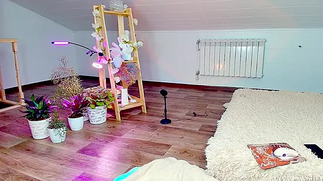 Meowroslava online show from November 7, 2025, 9:31 am