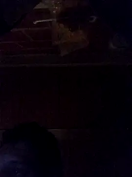 Elvergon3456 online show from October 28, 2025, 4:49 am