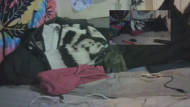 Snapshot of jaxx12369 chatting on February 11, 2025, 12:17 am jaxx12369 online show from February 11, 2025, 12:17 am