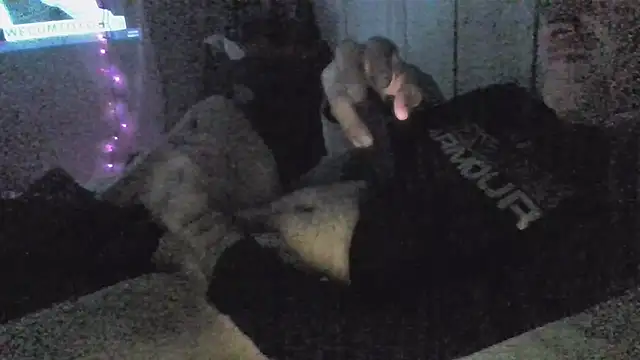 Snapshot of jaxx12369 chatting on December 5, 2025, 6:55 am jaxx12369 online show from December 5, 2025, 6:55 am