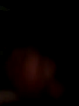 Snapshot of MynameisPaco chatting on November 11, 2025, 8:53 pm MynameisPaco online show from November 11, 2025, 8:53 pm