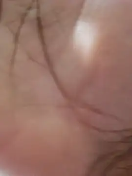 hole davidd online show from November 16, 2025, 1:44 am