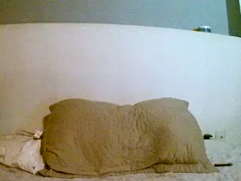 Snapshot of pollarikaaa chatting on March 4, 2025, 1:12 am pollarikaaa online show from March 4, 2025, 1:12 am