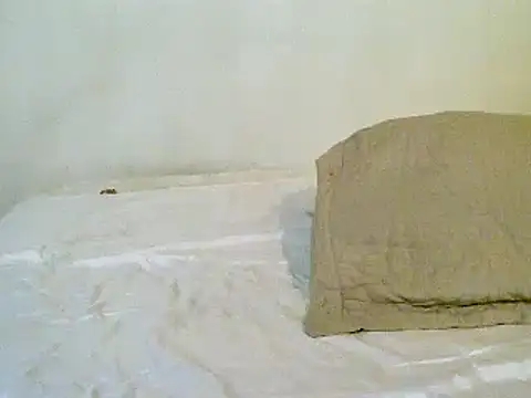 Snapshot of pollarikaaa chatting on November 10, 2025, 1:37 am pollarikaaa online show from November 10, 2025, 1:37 am