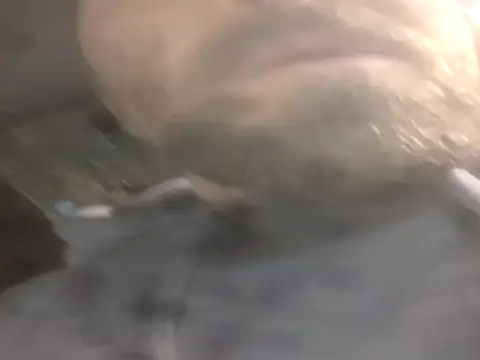 Snapshot of jwiththethickone413 chatting on November 17, 2025, 5:52 pm jwiththethickone413 online show from November 17, 2025, 5:52 pm