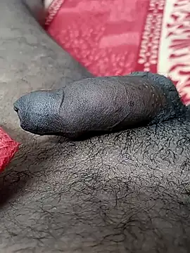 Snapshot of sat_1234 chatting on January 5, 2025, 1:56 am sat 1234 online show from January 5, 2025, 1:56 am