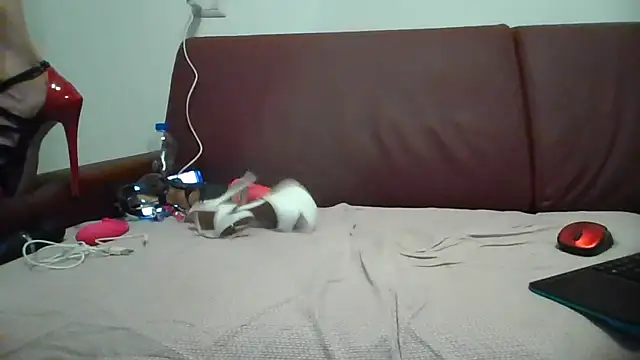 Danielasexy74 online show from November 14, 2025, 4:38 pm