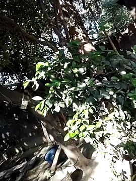 Hot-rubina online show from March 6, 2025, 3:57 am