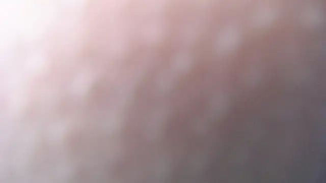 luly pink online show from December 20, 2024, 7:22 am