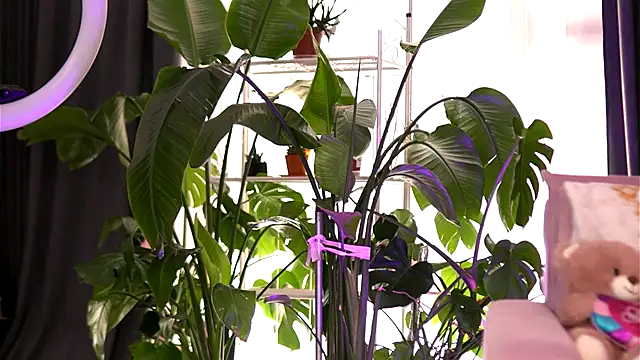 Snapshot of EmilyRaymont chatting on September 21, 2025, 5:20 am EmilyRaymont online show from September 21, 2025, 5:20 am