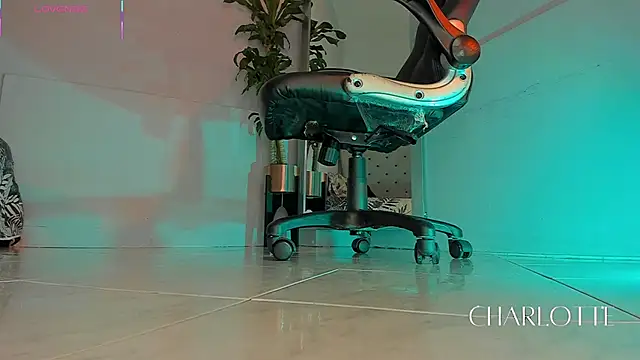 Snapshot of charlotte__grey chatting on November 20, 2025, 8:41 pm charlotte grey online show from November 20, 2025, 8:41 pm