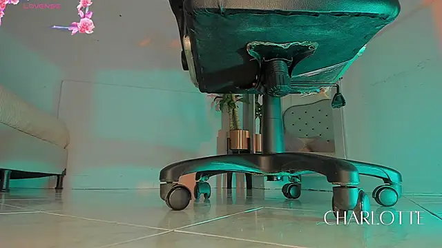 Snapshot of charlotte__grey chatting on November 28, 2025, 8:22 pm charlotte grey online show from November 28, 2025, 8:22 pm