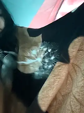 Angel Anamika online show from November 26, 2025, 12:22 am