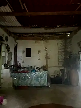 amy gata online show from November 15, 2025, 10:12 am