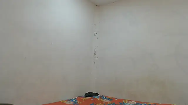 danielitopapuu online show from November 7, 2025, 4:23 am