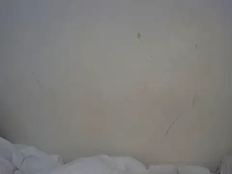 Snapshot of ebony_curvedass chatting on September 10, 2025, 2:06 pm ebony curvedass online show from September 10, 2025, 2:06 pm