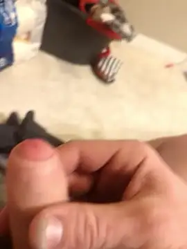 Snapshot of Bolo23693 chatting on February 8, 2025, 1:11 pm Bolo23693 online show from February 8, 2025, 1:11 pm