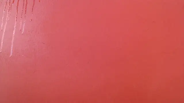 Freyja eter online show from October 17, 2025, 2:19 pm