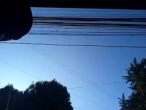 Snapshot of weedmanhot28 chatting on January 30, 2025, 12:48 pm weedmanhot28 online show from January 30, 2025, 12:48 pm