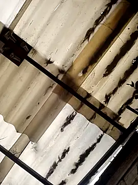 Snapshot of weedmanhot28 chatting on November 2, 2025, 12:51 pm weedmanhot28 online show from November 2, 2025, 12:51 pm