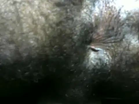 michel sc online show from December 9, 2024, 4:12 am