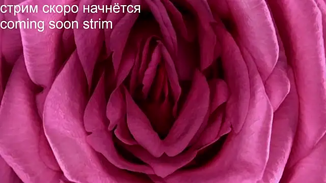 Snapshot of Strip-Lady chatting on January 5, 2025, 2:52 pm Strip-Lady online show from January 5, 2025, 2:52 pm
