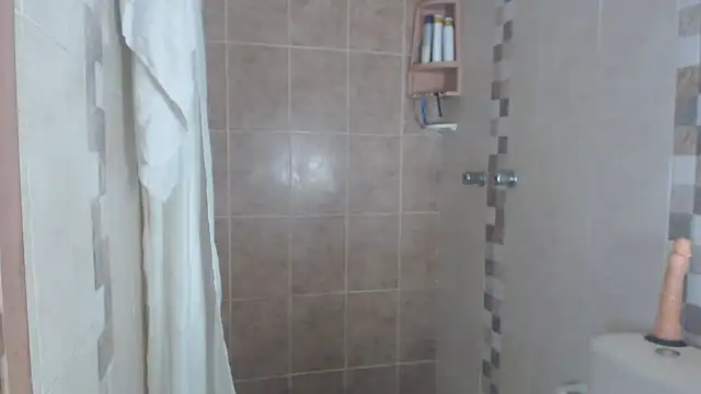 Snapshot of brigitht chatting on March 11, 2025, 3:02 pm brigitht online show from March 11, 2025, 3:02 pm