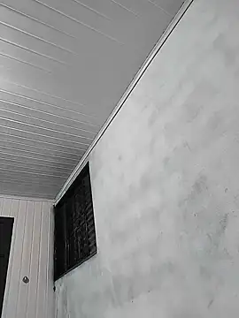 Snapshot of NumeralChevre chatting on February 11, 2025, 5:47 am NumeralChevre online show from February 11, 2025, 5:47 am