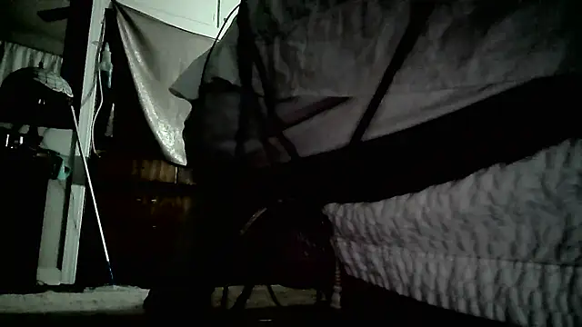 paiday online show from December 25, 2024, 4:43 pm