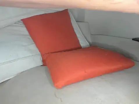 Mamii water online show from October 14, 2025, 6:36 am