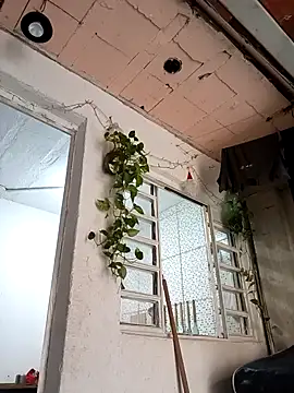 Brasilsexxx online show from December 18, 2025, 2:45 pm