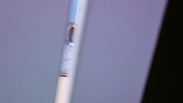 Snapshot of HaruruHappy chatting on January 18, 2025, 1:29 pm HaruruHappy online show from January 18, 2025, 1:29 pm