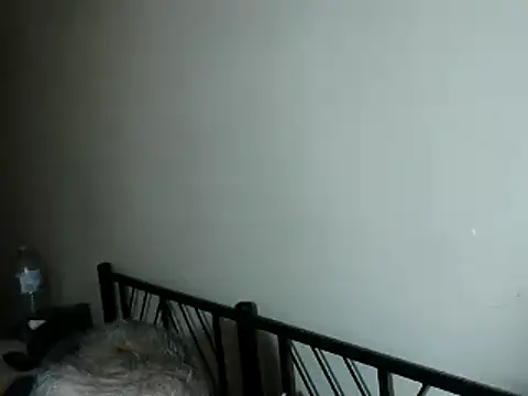 100Tauros online show from November 2, 2025, 3:25 pm