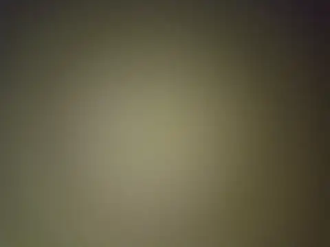 BigRastaFire online show from January 26, 2025, 1:09 am