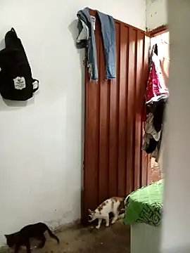 Snapshot of Andreita_95 chatting on November 13, 2025, 11:31 am Andreita 95 online show from November 13, 2025, 11:31 am