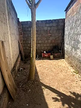 Snapshot of king_cum_ chatting on November 5, 2025, 12:05 pm king cum online show from November 5, 2025, 12:05 pm