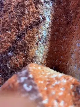 Snapshot of king_cum_ chatting on November 8, 2025, 1:17 am king cum online show from November 8, 2025, 1:17 am