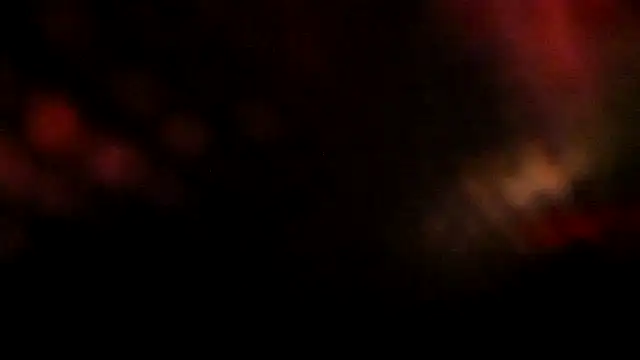 leatherz69 online show from February 16, 2025, 10:21 am